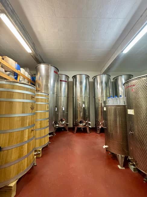 Pelješac wine tasting and local winery visit - Why Pelješac gets called Croatia’s Empire of Wine