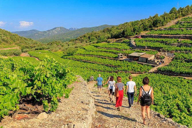 Peljesac&Ston Small-Group Food & Wine Experience from Dubrovnik - Key things I’d pencil into your day