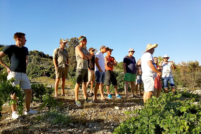 Peljesac&Ston Small-Group Food & Wine Experience from Dubrovnik - Your guide and group size: why the small number matters