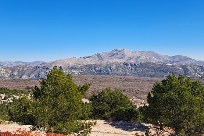 Private Customizable Tour of Croatia Via Minivan with a Guide - What’s included vs. what you’ll pay extra