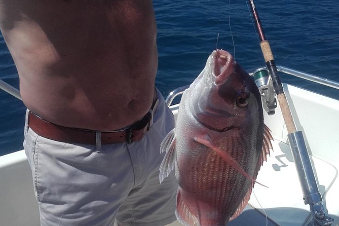 Private fishing tour - The Catch Reality Check: It’s Fishing, Not Theater