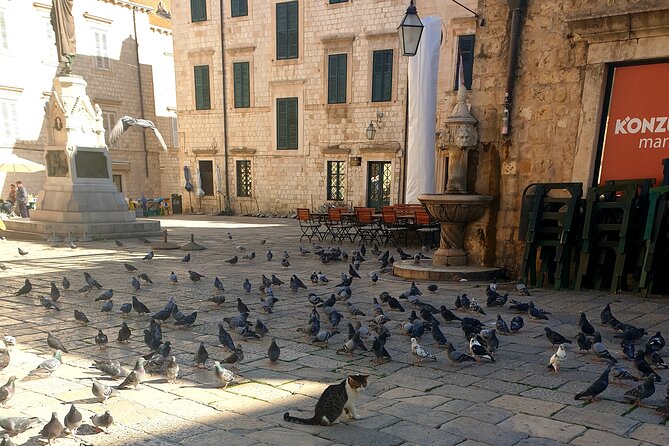 Private Fort Lovrijenac and Dubrovnik City Tour - Who should book this private Dubrovnik city tour