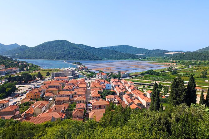 Private Full Day Peljesac Wine Tasting Tour from Dubrovnik - Lunch and oyster tasting: optional stops along the route