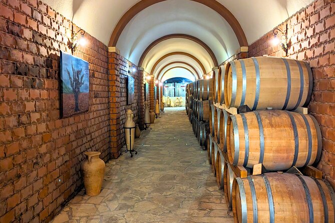 Private Full Day Peljesac Wine Tasting Tour from Dubrovnik - Choosing your start time: morning options that help you plan your day