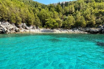 Private Full-Day Tour of Elaphiti Islands by Speedboat - Price and value for a group up to 8