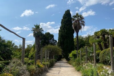 Private Game of Thrones Tour with King's Landing Garden - Lovrjenac Fortress and Blackwater Bay: Red Keep Energy Comes With Stairs