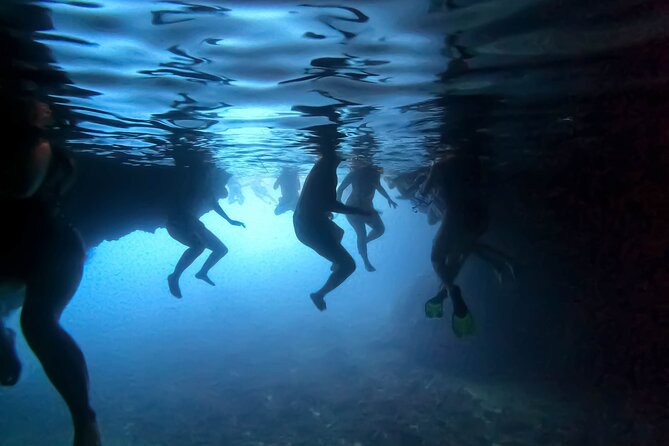 Private Half Day and Full Day Elaphiti Islands Tours - Šunj Beach: The Best Place to Do Nothing