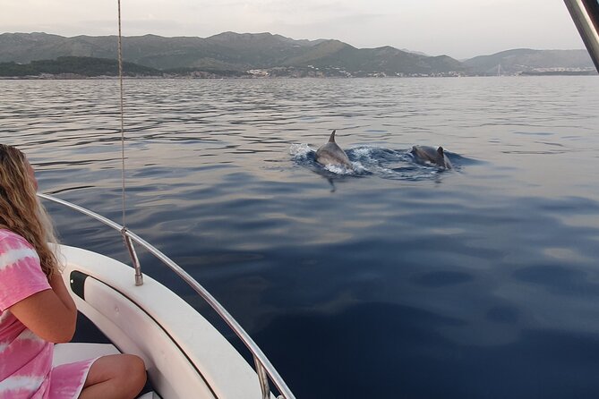 Private Local Guided Speedboat Tour in Dubrovnik Archipelago - Drinks and onboard WiFi: the small comforts that make speed feel easier