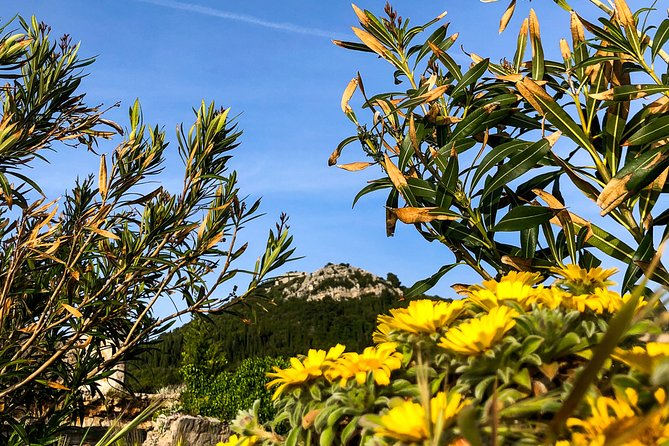 Private Lopud Walking Tour - Finishing near Šunj beach: swim, lunch, or a taxi back