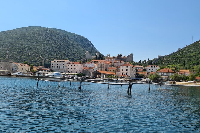 Private Oyster and Wine Tasting Day Trip along Peljesac - Edivo Wine Bar: Village Delicacies and a Different Pace