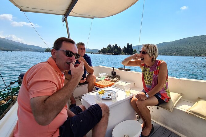 Private Oyster and Wine Tasting Day Trip along Peljesac - Price and Value: What $297.85 Actually Buys You