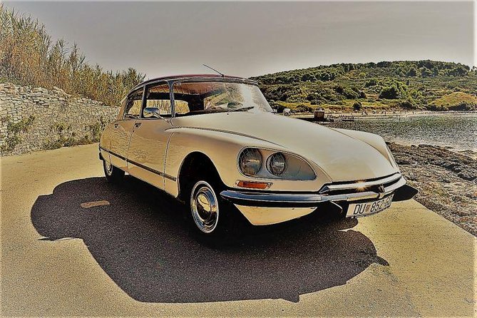 Private Tour of Dubrovnik with Legendary Classic Car Old-Timer - Stop 2: Trsteno and the 500-year plane tree at the entrance