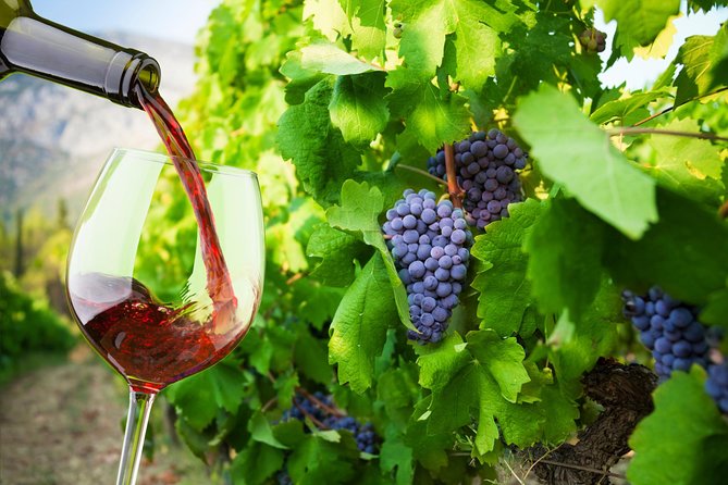 Private Tour: Ston and Peljesac Peninsula Day Trip with Wine Tasting - Key Highlights You’ll Care About