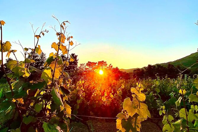 Private Wine Tasting Under The Stars With Sunset Panorama - The 7:00 pm Timing and the Sunset Panorama Effect