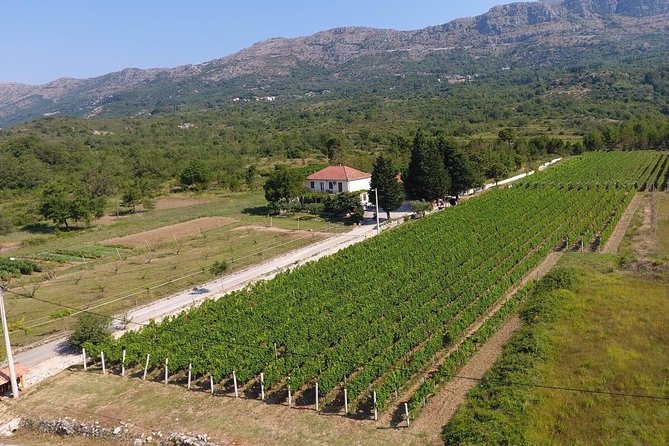 PRIVATE Wine Tour to Konavle country side - Price and value at $180.62 per person