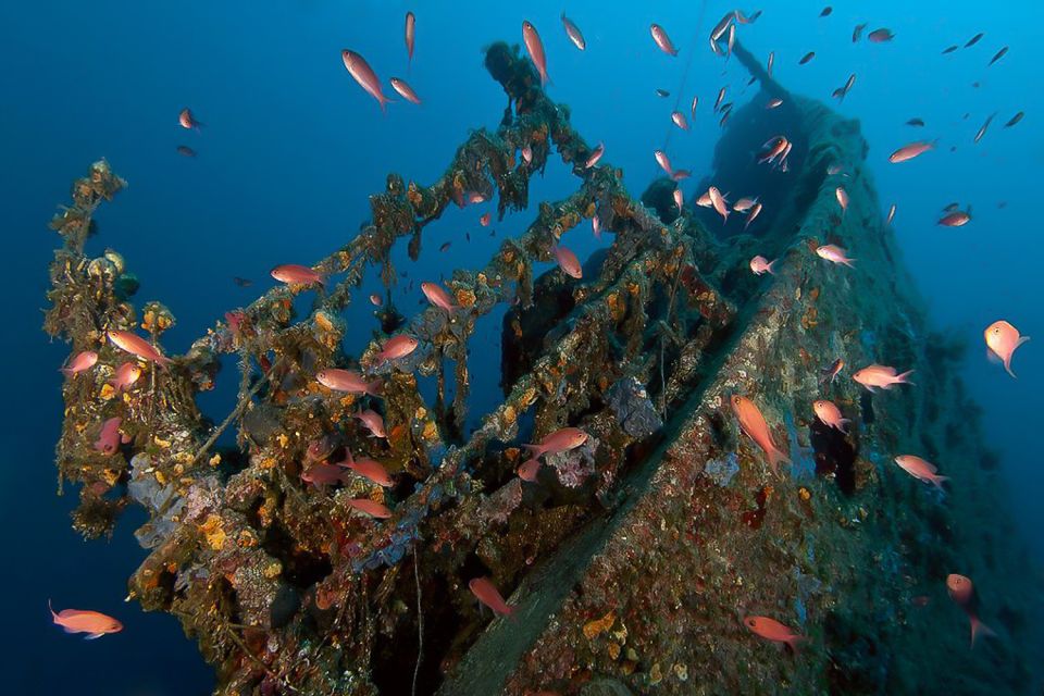 Scuba Diving in Dubrovnik: 1 Dive for Certified Divers - Key things to know before you go