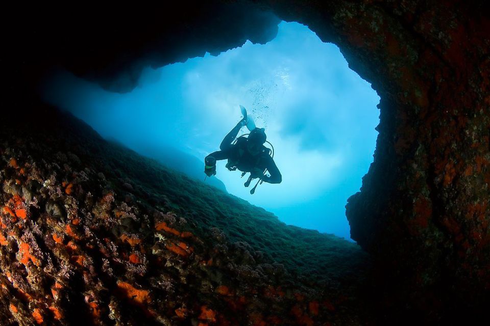 Scuba Diving in Dubrovnik: 1 Dive for Certified Divers - Included equipment and what it means for your planning