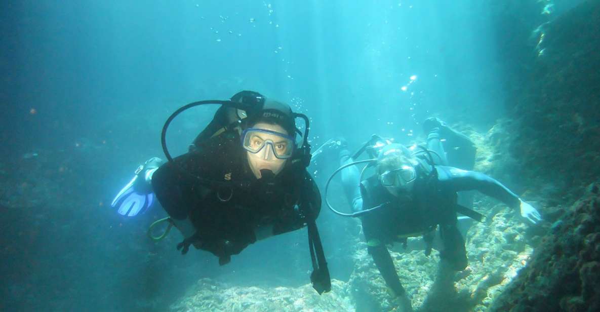 Scuba Diving in Dubrovnik: 1 Dive for Certified Divers - Price and value: $94 for one guided site in a small group