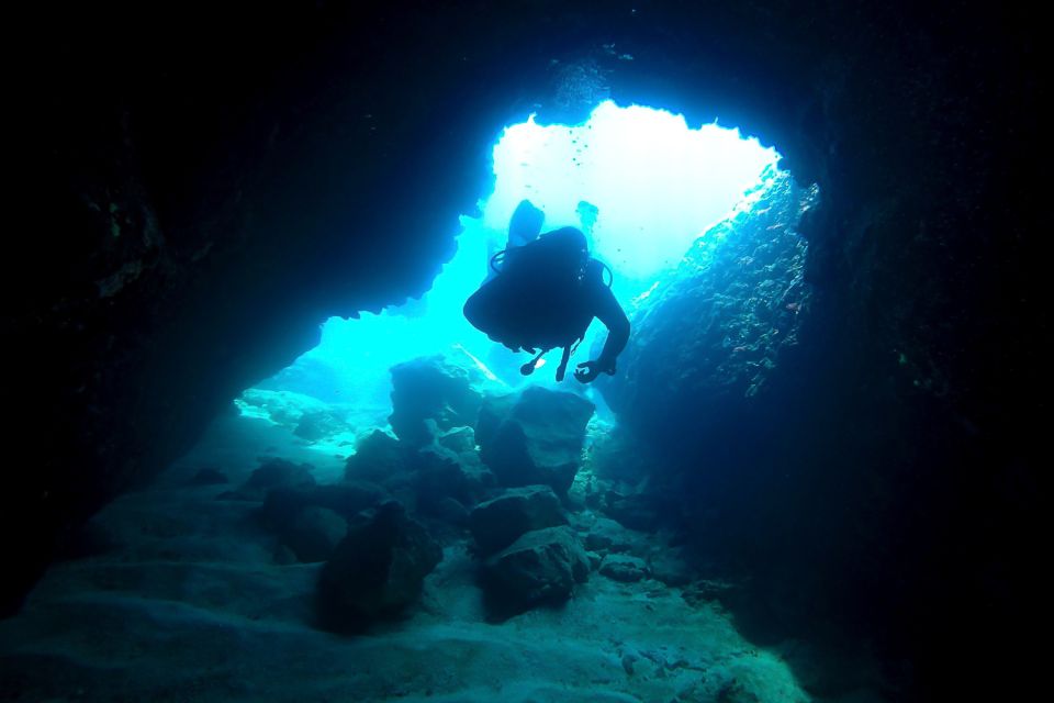 Scuba Diving in Dubrovnik: 1 Dive for Certified Divers - The key consideration: the 2-year check session requirement
