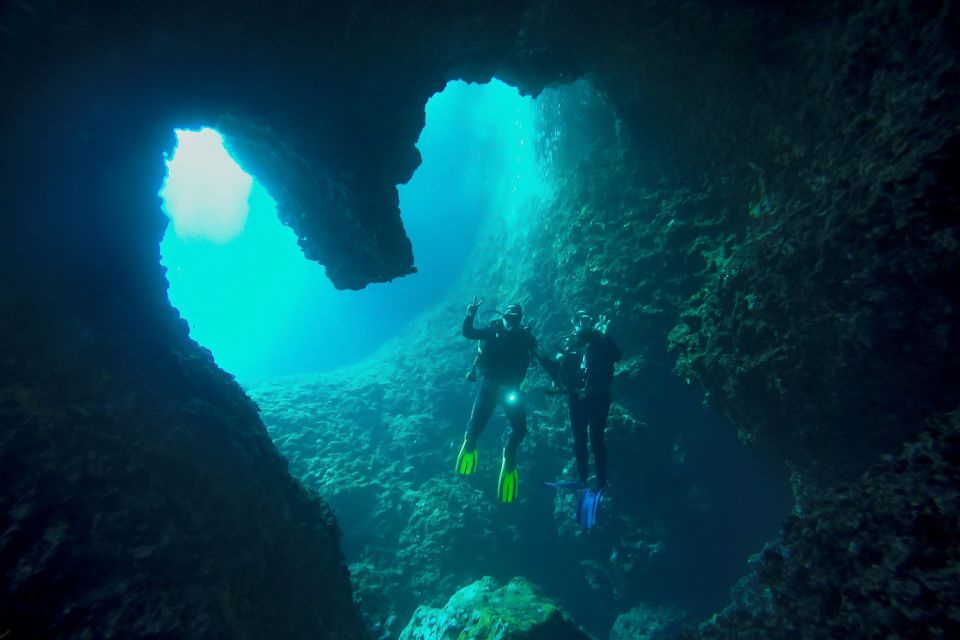 Scuba Diving in Dubrovnik: 1 Dive for Certified Divers - Choosing one of 12 underwater sites near Dubrovnik