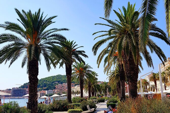 Split and Ston private tour or transfer - Comfort Extras That Make a Difference on the Road