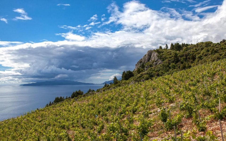 Ston and Korcula Island Day Trip from Dubrovnik with Wine - From Ston to Orebić: the transition to Korčula Island