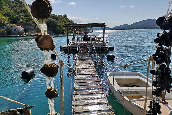 Ston Gastro Tour - Why Ston Works as a Dubrovnik Escape