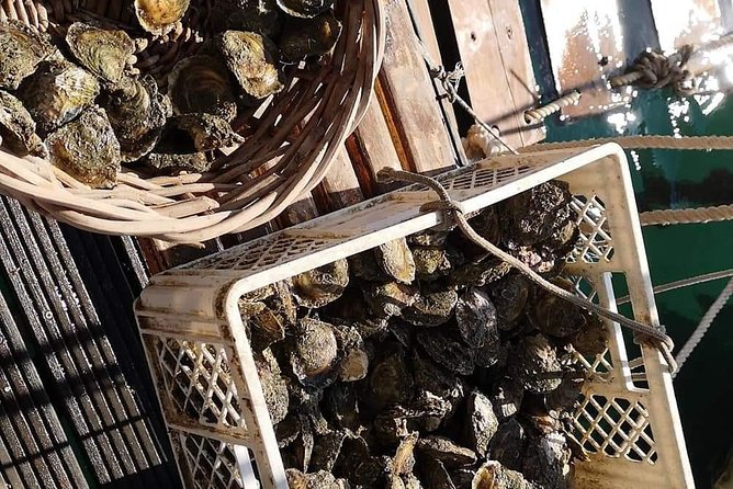 Ston Gastro Tour - Lunch at a Local Tavern: Mussels and Two Risottos