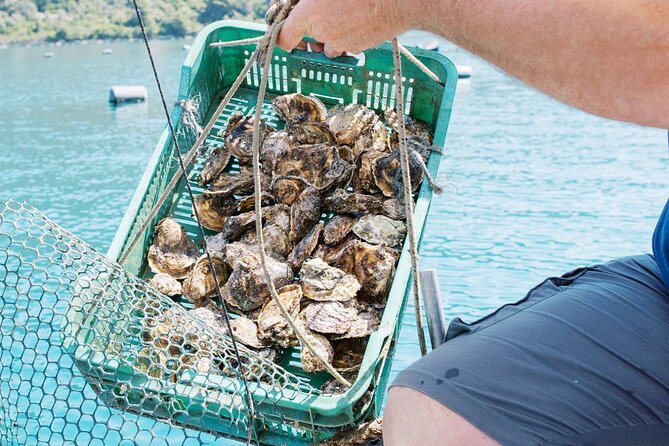 Ston Gastro Tour - Who Should Book This Ston Gastro Tour (and Who Might Skip It)