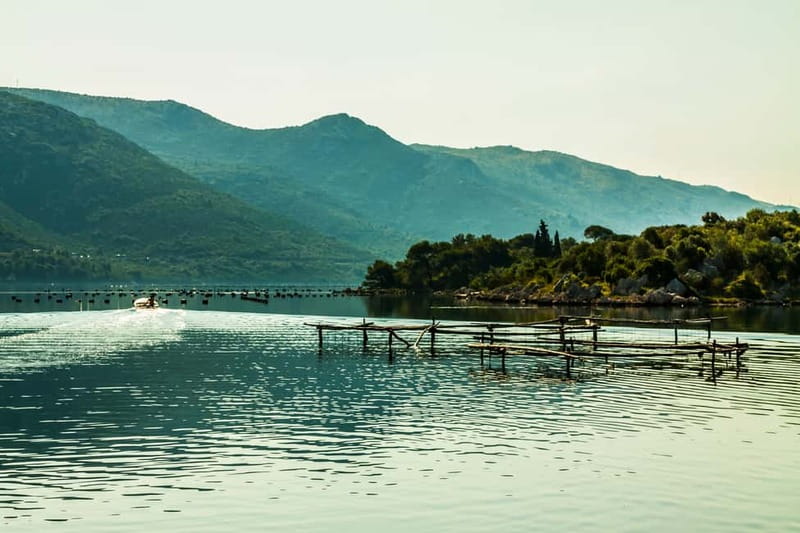 Ston Oyster & Wine Tasting Private Tour From Dubrovnik - Final Verdict: Should You Book This Ston Oyster and Wine Tour?