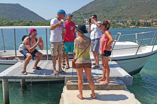 Ston Oysters & Wine Tasting Tour from Dubrovnik - Key Points You’ll Care About