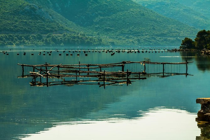 Ston Oysters & Wine Tasting Tour from Dubrovnik - Trsteno Arboretum and Possible Game of Thrones Filming Locations