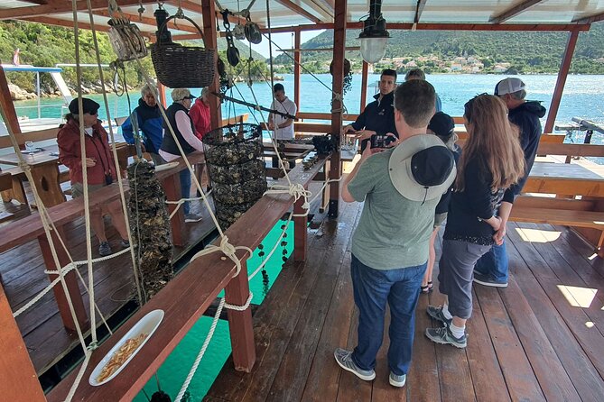 Ston Oysters & Wine Tasting Tour from Dubrovnik - Tips for a Smooth Day: Timing, Cash, and Comfort