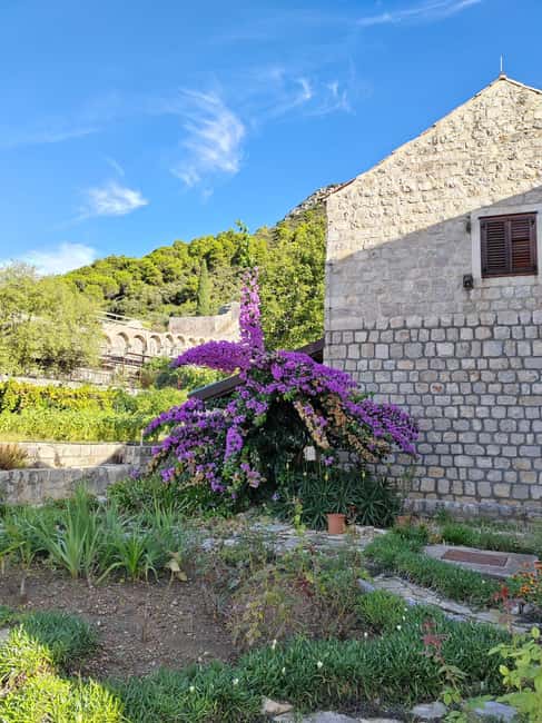 Ston private walking tour with the walls and saltworks visit - Practical tips that actually help on the day