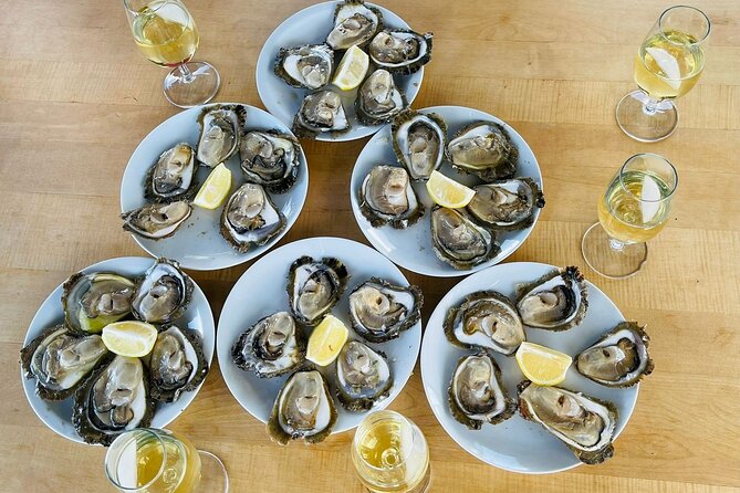 Ston Seafood & Pelješa Wine Boat Tour with Oysters and Mussels - Pelješac From Dubrovnik: Why This Boat Day Works