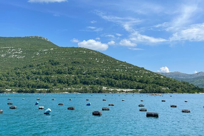Ston Seafood & Pelješa Wine Boat Tour with Oysters and Mussels - Hodilje Oyster Tasting on a Small Craft