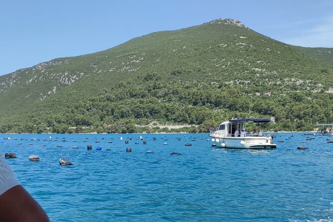 Ston Seafood & Pelješa Wine Boat Tour with Oysters and Mussels - Who This Tour Fits Best (and Who Should Skip It)