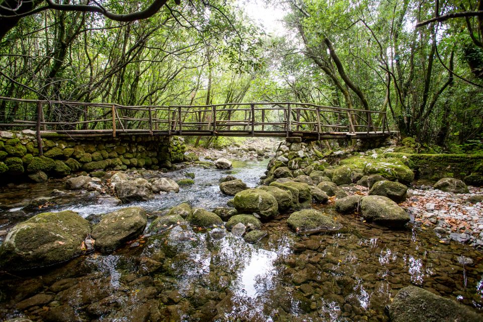 Taste & Tradition of Dubrovnik Countryside - Quick hits you’ll care about