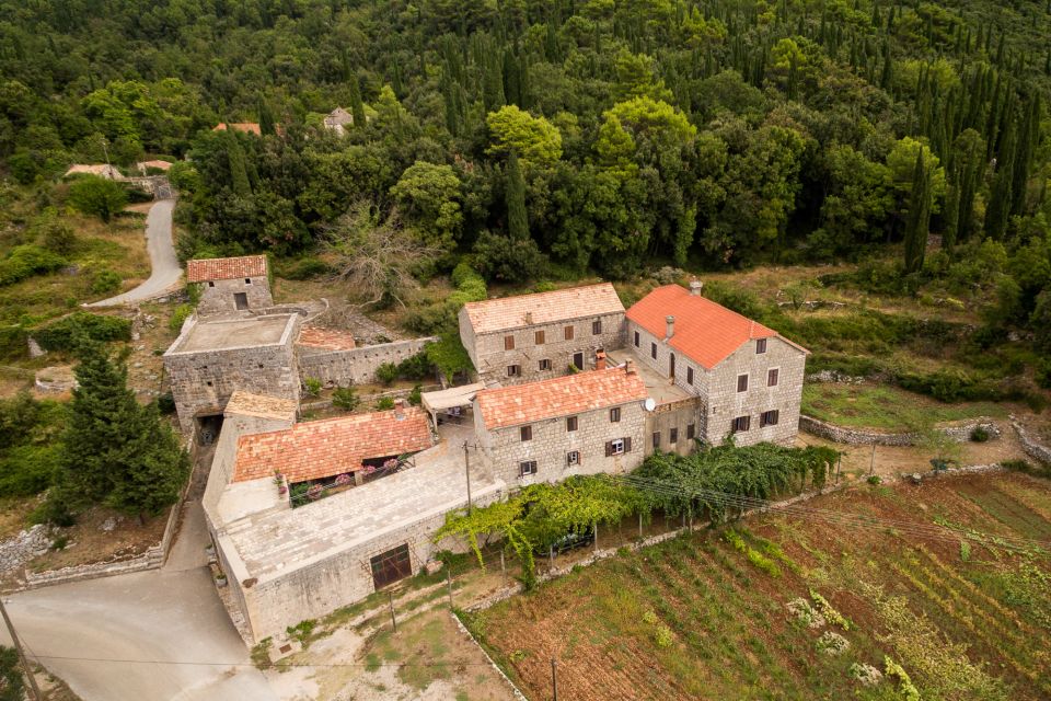 Taste & Tradition of Dubrovnik Countryside - Agrotourism & Winery Brajković: wine liqueur and a vineyard walk