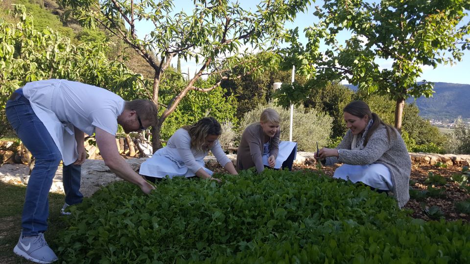 Traditional Dalmatian Cooking Class from Dubrovnik - Key Highlights You’ll Feel in Your Hands