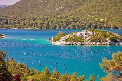 Transfer Dubrovnik to Split with Sightseeing in Ston Town - Ston Town: 60 Minutes to Reset and Look Around
