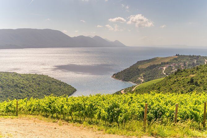 Transfer Dubrovnik to Split with Sightseeing in Ston Town - Your Driver, the Vehicle, and the Wi‑Fi Advantage