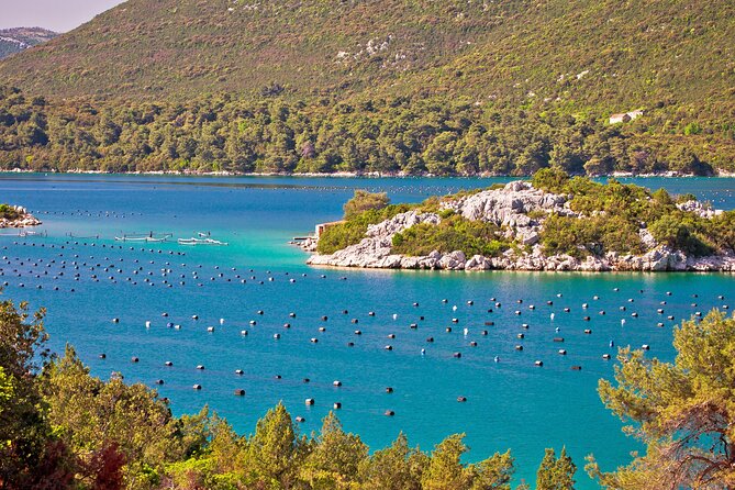Transfer Dubrovnik to Split with Sightseeing in Ston Town - Ston Town: 60 Minutes to Reset and Look Around