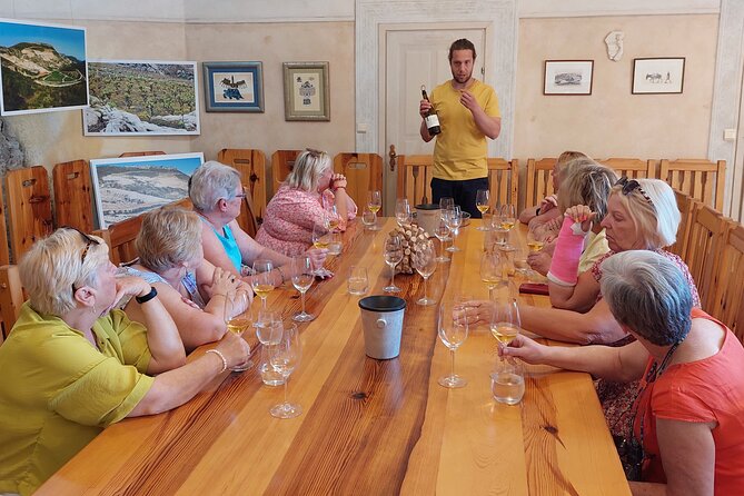 Wine tour Peljesac - Wine tastings and what’s actually included in your day